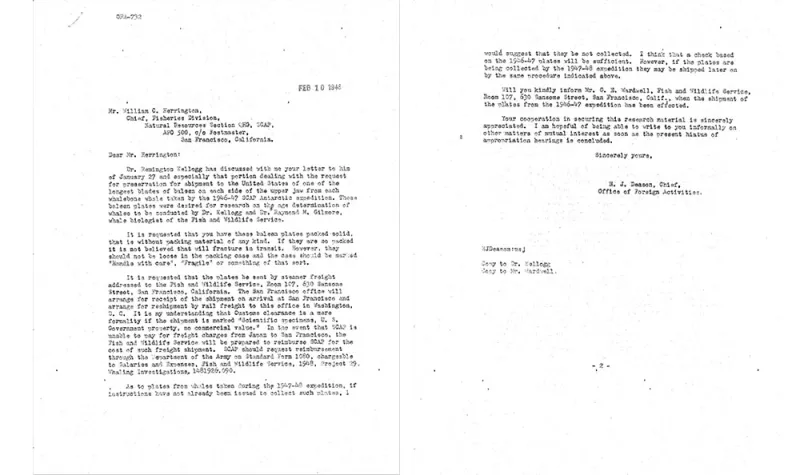 a letter