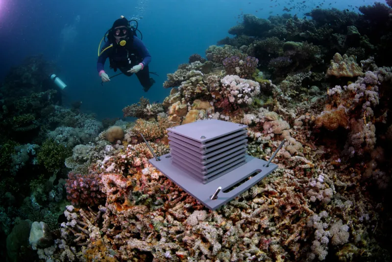Placing ARMS in the Red Sea A "reef hotel" made of PVS layers on the seafloor.