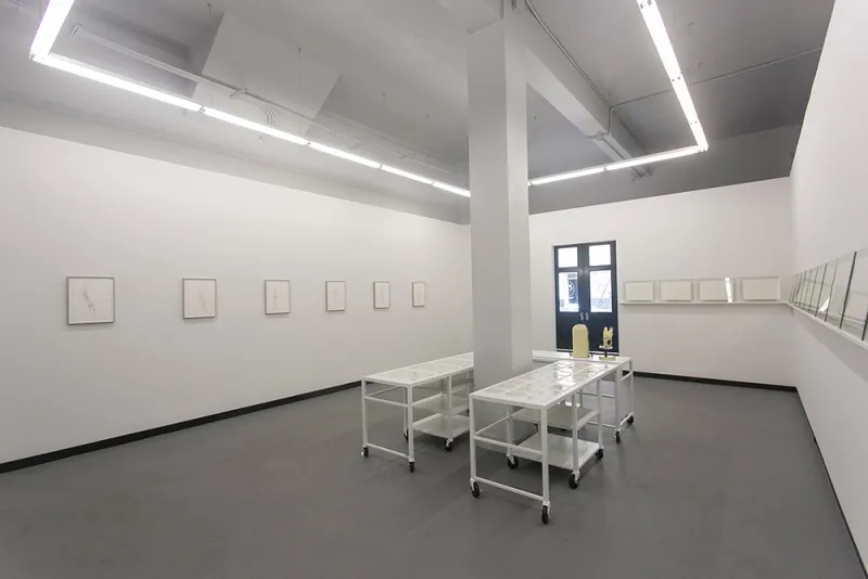 Kopelman's work was exhibited at DiabloRosso Gallery in Panama. 