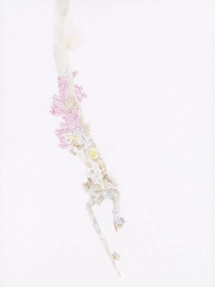 Kopelman Watercolor Detail