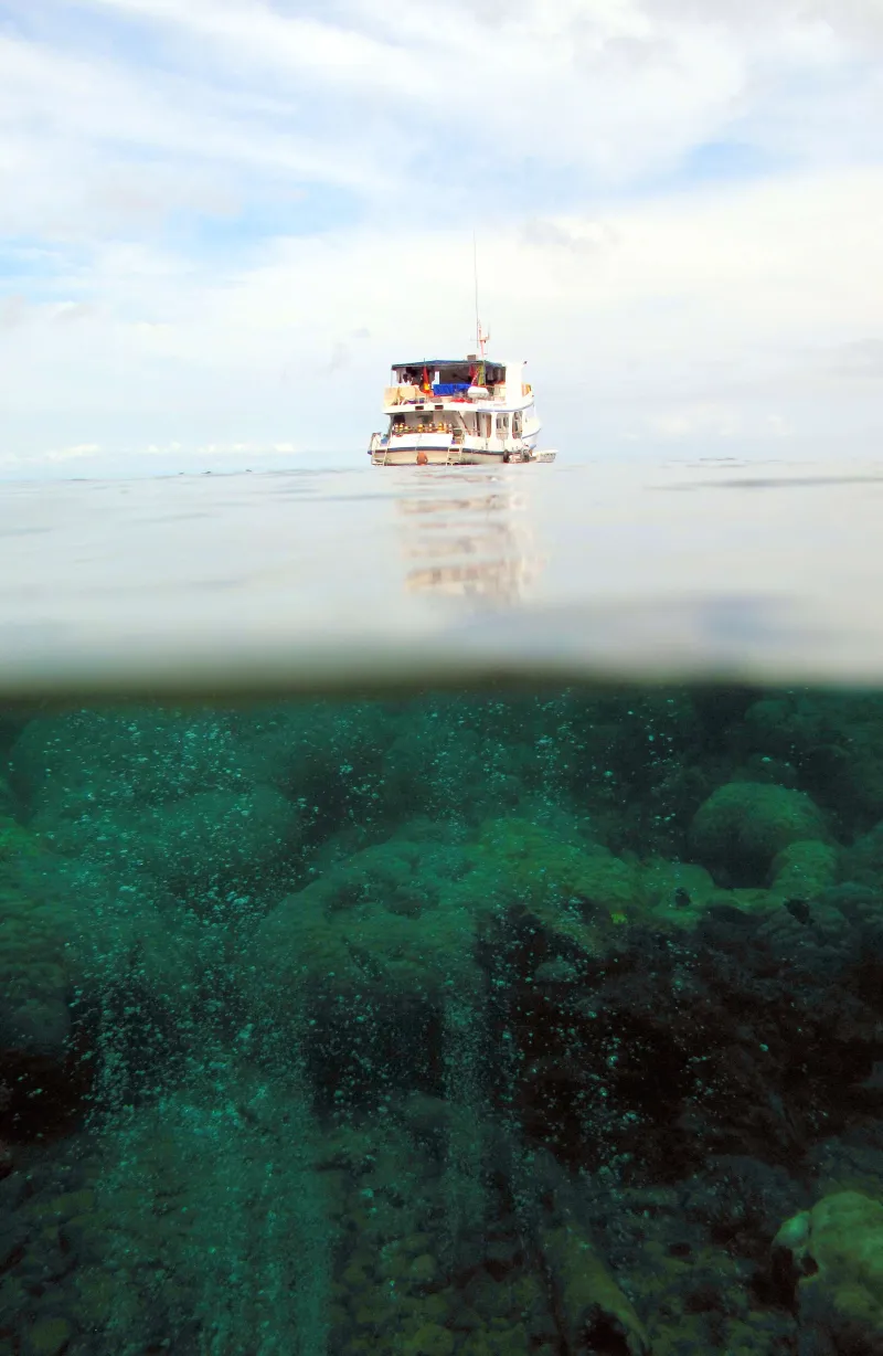 For three weeks, the MV Chertan is home-base for the scientific team and will be transformed in a laboratory to study the effect of the CO2 seeps on reefs.