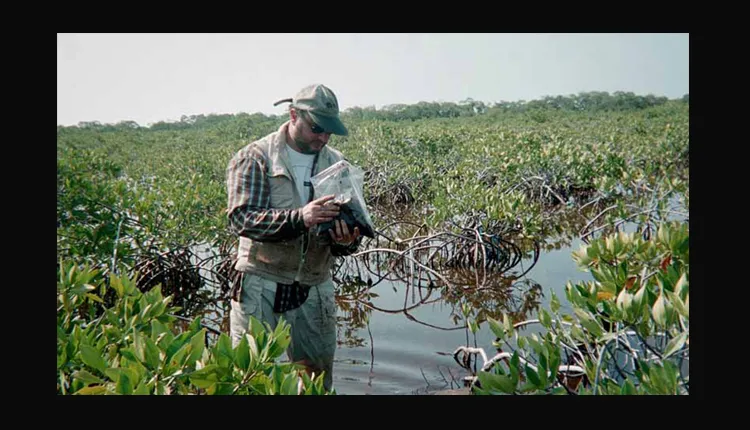 Marc Frischer from the Skidaway Institute of Oceanography studies bacteria at a Smithsonian field station.