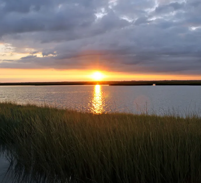 A sunset over marshland near Ocean City, N.J.