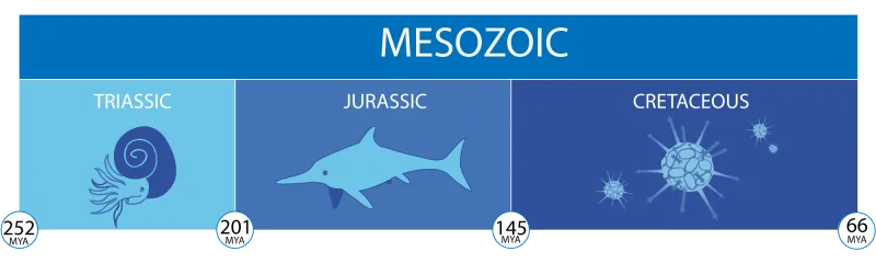 A timeline of the mesozoic era