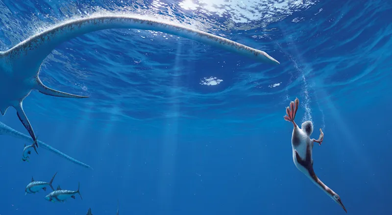 A plesiosaur and a diving bird