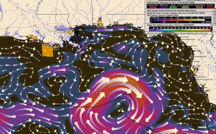 Hurricane Wind Pattern in Gulf of Mexico