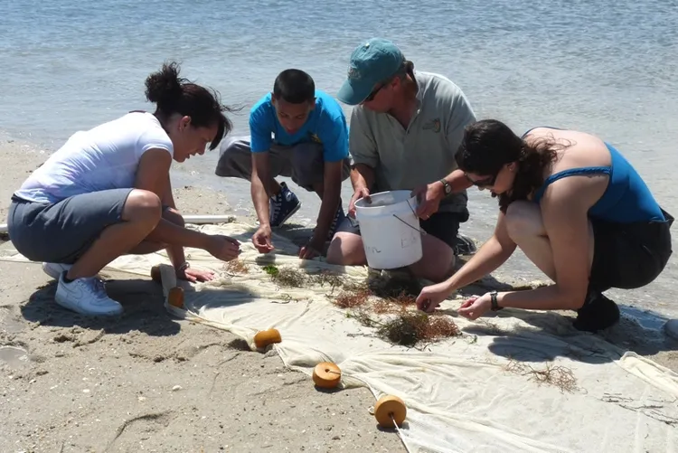 Students examine items collected on a beach.