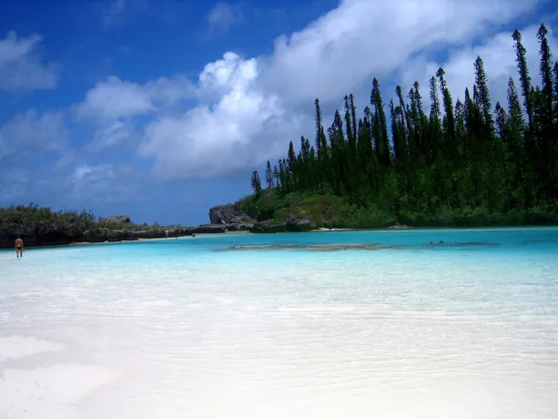 The Lagoons of New Caledonia: Reef Diversity and Associated Ecosystems  site in France was inscribed on the World Heritage List in 2008. The  site features an exceptional diversity of coral and fish species and a  continuum of habitats from mangroves to se