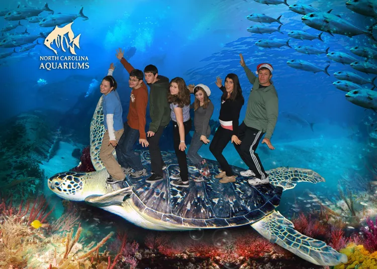 Students are made to look like they are riding the back of a giant turtle in a doctored photo.