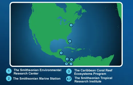 These Smithsonian field stations enable scientists worldwide to conduct long-term studies on mangrove ecosystems.