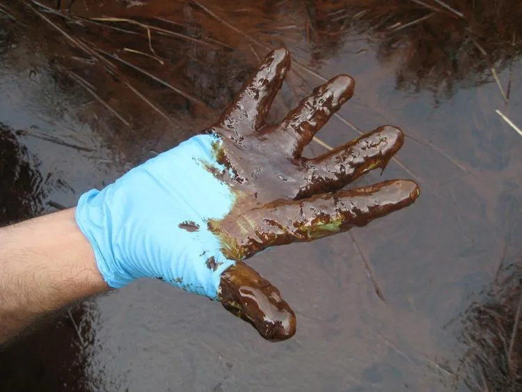 Oil from the Deepwater Horizon oil spill in the Gulf of Mexico impacts the coast at Pass a Loutre, La.