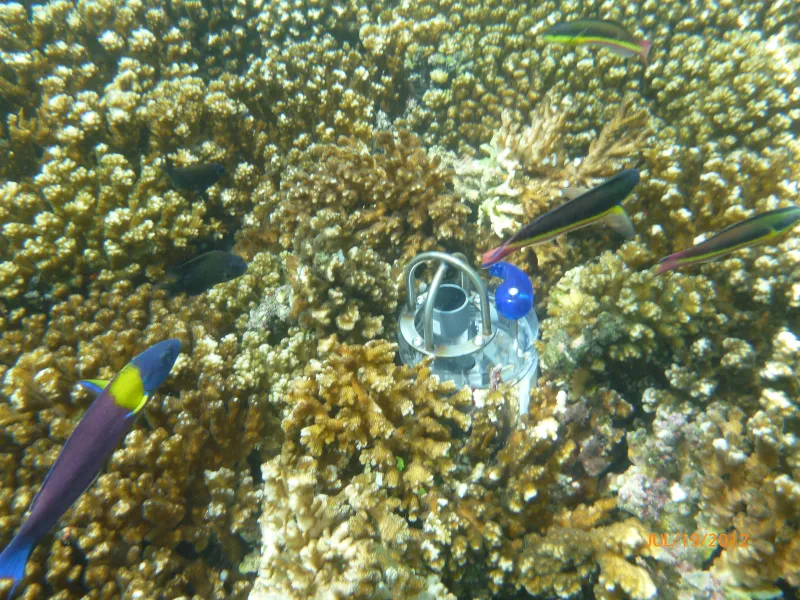 Researchers collect underwater noises with autonomous recorders.