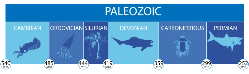 a timeline of the paleozoic era