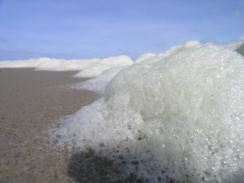 seafoam