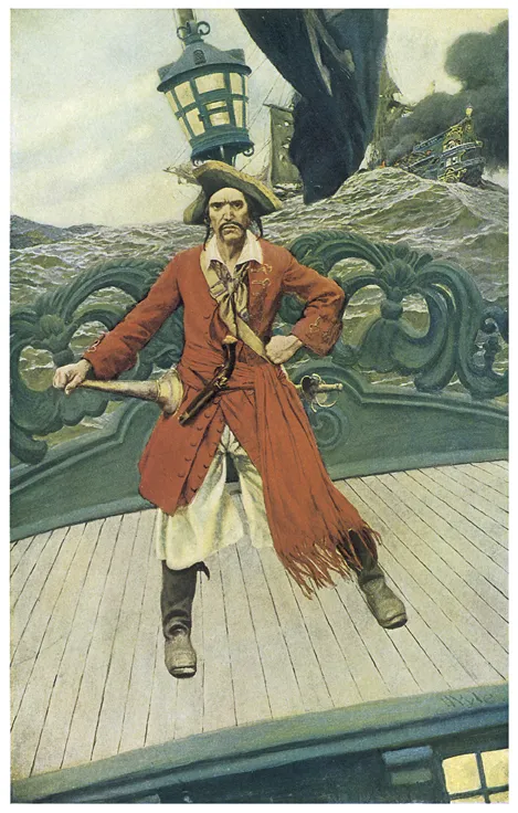 Pirate on the high sea