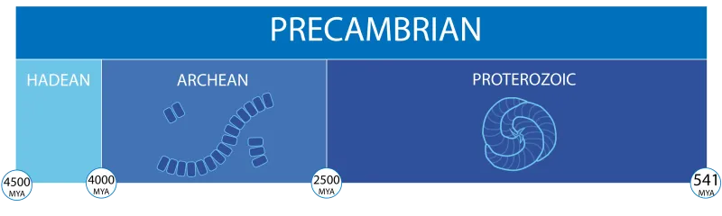 a timeline of the precambrian