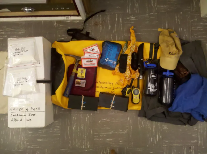paleobiology field equipment for excavating a fossil whale in central america