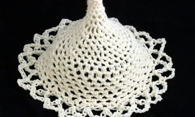 a crochet radiolarian