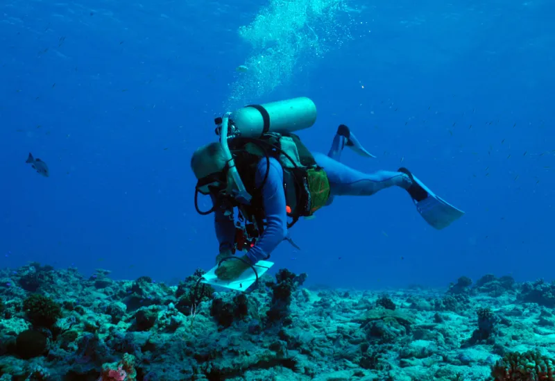 A scientific diver collects data on an underwater slate.
