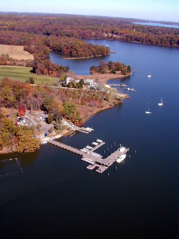 And in Edgewater, Maryland, scientists at the Smithsonian Environmental Research Center examine the influences of climate change, excess nutrients, and surrounding habitats on mangroves