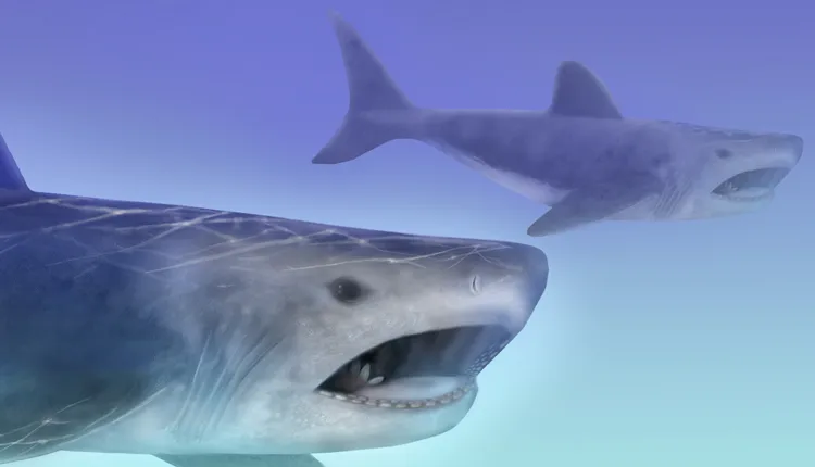 Artistic rendering of an ancient shark, Helicoprion.