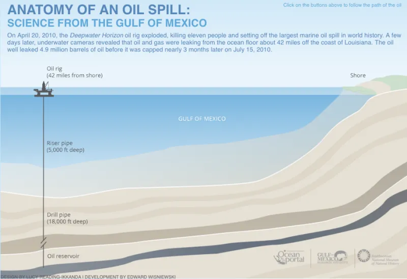 Screenshot of Gulf oil spill interactive.