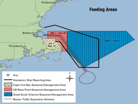 Map of seasonal area restrictions for ships in Northeast U.S. Map of seasonal area restrictions for ships in Northeast U.S.