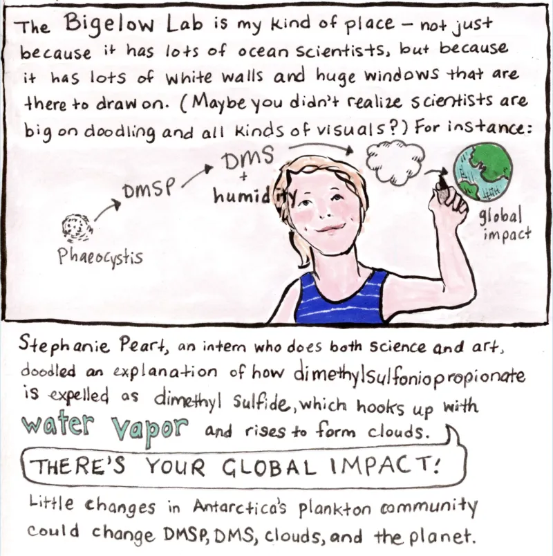 A comic from illustrator Karen Romano Young.