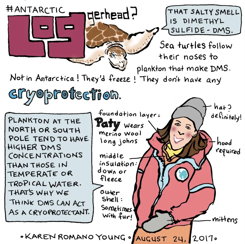 A comic from illustrator Karen Romano Young.