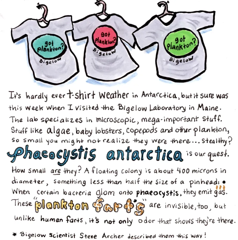 Cartoon t-shirts with got plankton.