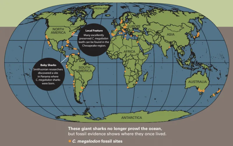 A map of where megalodons lived