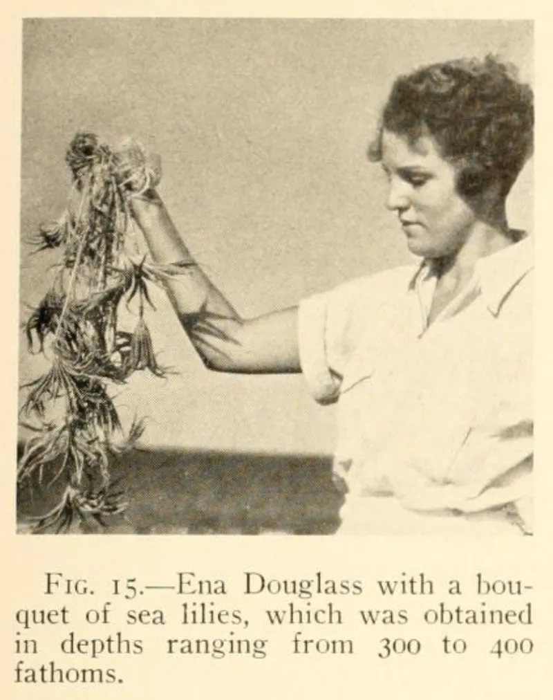 A woman with short curly hair holds a bunch of sea lilies
