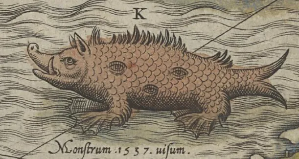 Sea Swine A sea pig illustration on an old map