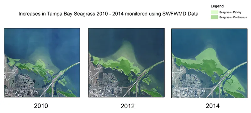 Increase in Tampa Bay Seagrass 2010-2014