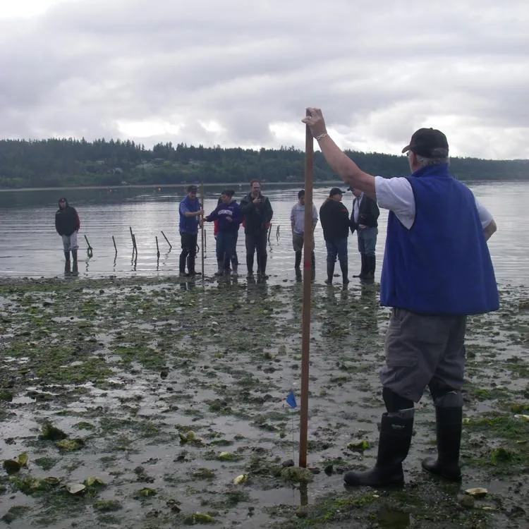 Students examine a beach at low tide.