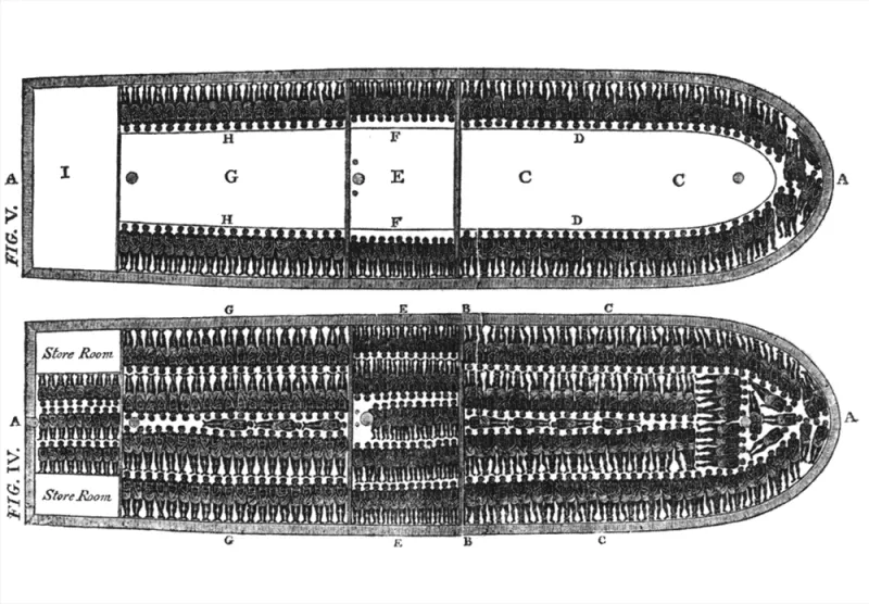 An illustration of how slaves were arranged on slave ships.