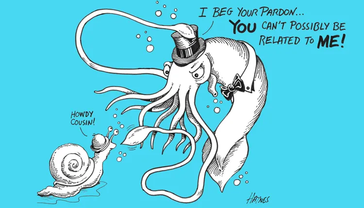 Like snails, clams, and even slugs, giant squids are all mollusks, with soft, fleshy bodies.