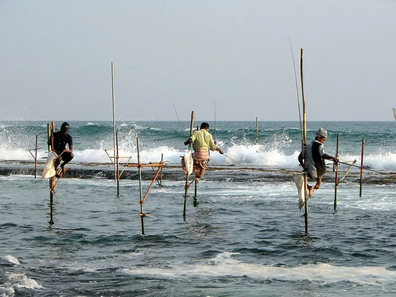 Three fishermen sit on wooden stilts that are sticking out of the ocean as they fish.