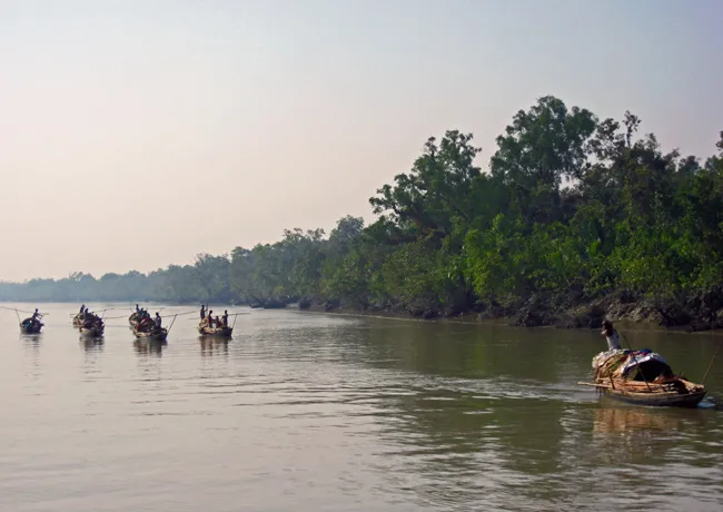 The Sundarbans site in Bangladesh, which was inscribed on the World Heritage List in 1997, includes one of the largest remaining areas of mangroves in the world and supports a rich animal community.