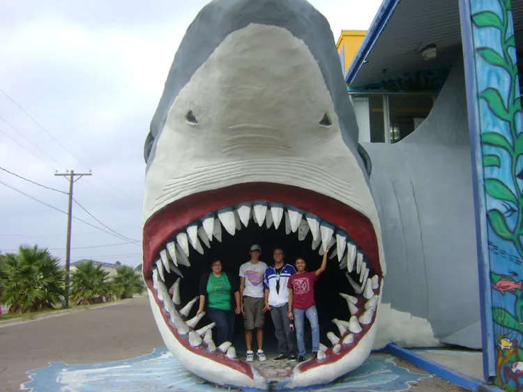 Students pose in the mouth of a giant model of a shark.