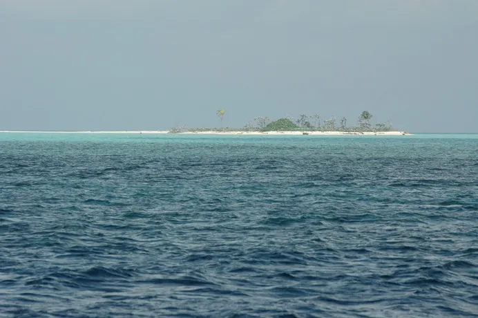 The Tubbataha Reefs National Park site in the Philippines was inscribed on the World Heritage List in 1993. The site is an example of a pristine coral reef with a spectacular 100 m (330 ft) perpendicular wall, extensive lagoons, and two coral islands - all