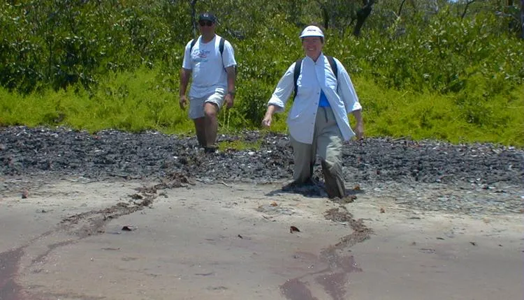Anne Chamberlain and Marc Frischer stride through a mangrove pond at Twin Cays, Belize.