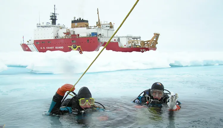 Ice divers descend through a hole in the ice.