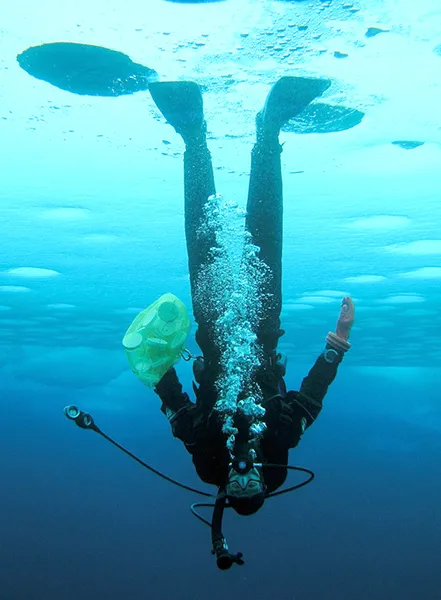 An ice diver swims beneath the ice-covered surface.