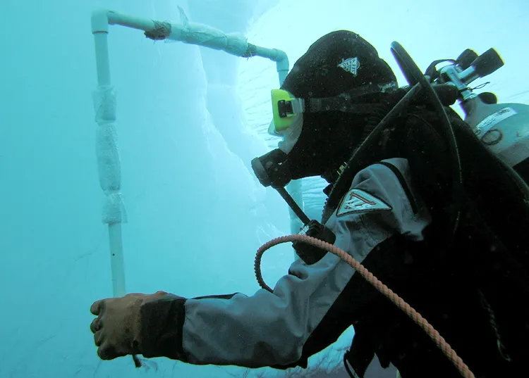 Ice divers study the abundance of marine life.