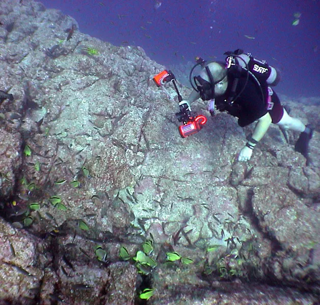 Auster gets ready to study fish predators at Gray’s Reef National Marine Sanctuary off the coast of Georgia.