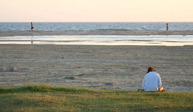 A woman sits on the beach reading a book. 