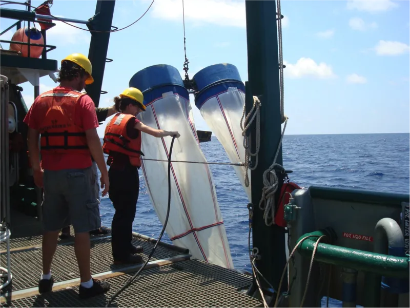 Jeff Chanton's students collect plankton in large nets called plankton tows during the May 2012 R/V Weatherbird II Cruise in the Gulf of Mexico.