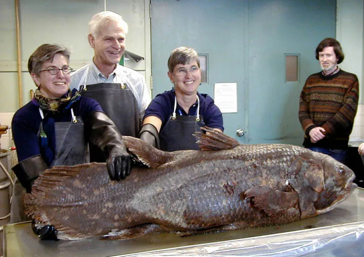 a coelacanth specimen and Smithsonian scientists