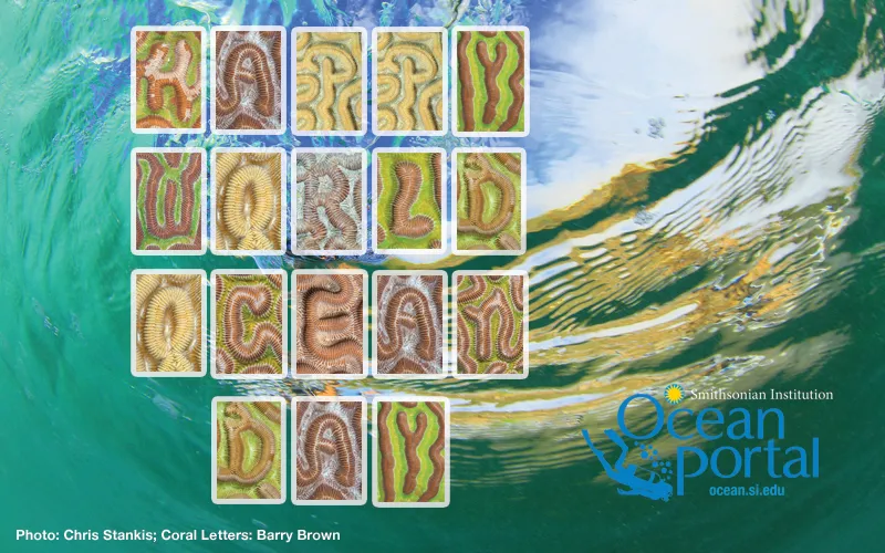Happy World Ocean Day!